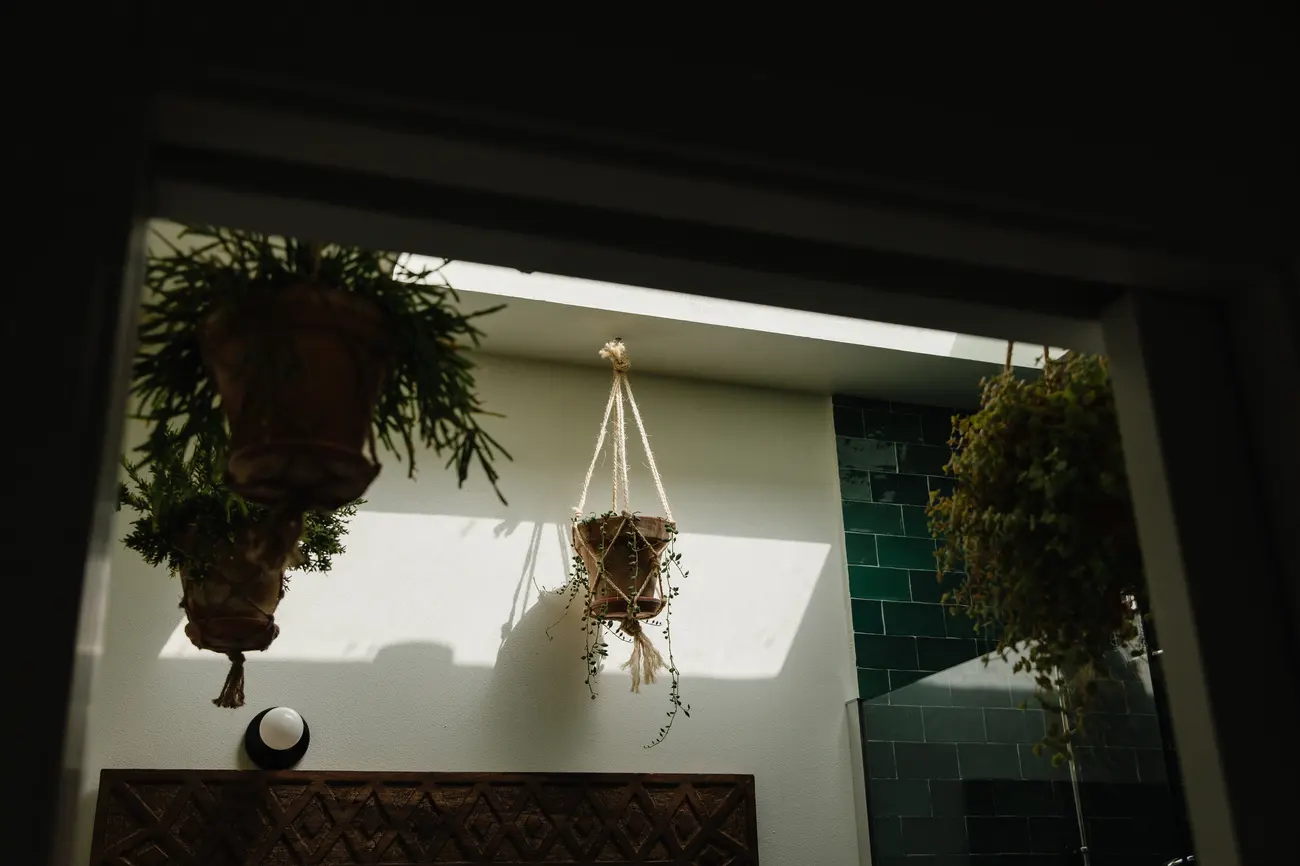 Interior da Selva, luz da claraboia