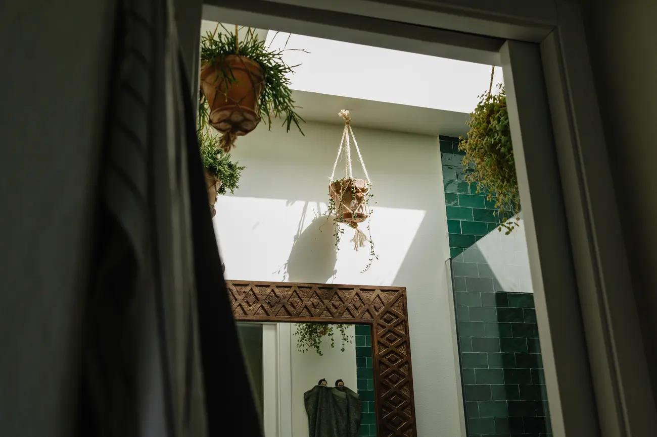 Claraboia com plantas suspensas